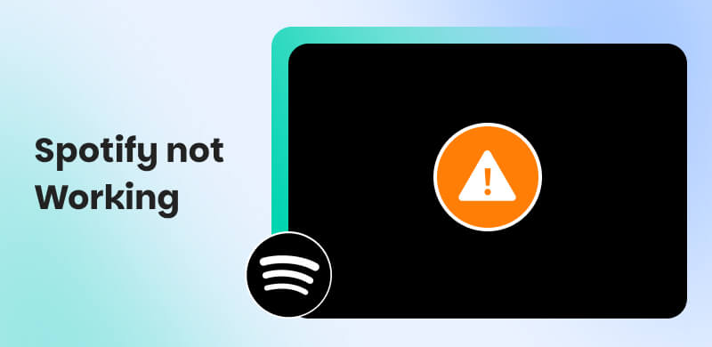 Spotify Not Working