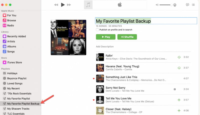 Apple Music Spotify Credentials