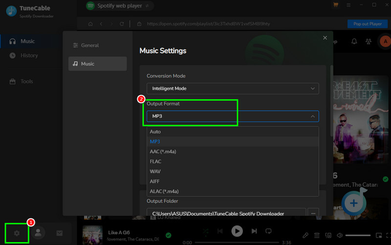Settings Output Format TuneCable
