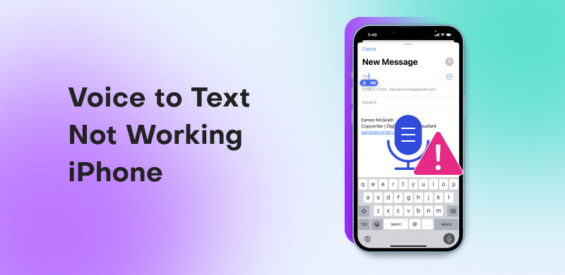 Voice to Text Not Working iPhone