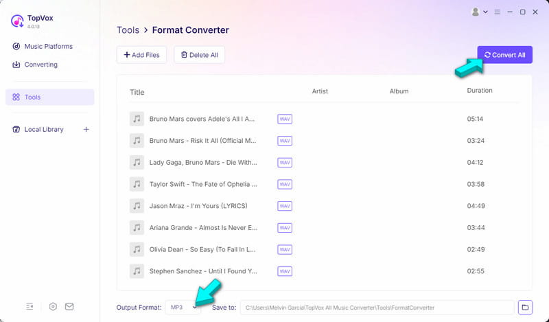 Set Mp3 As Output And Convert In Topvox