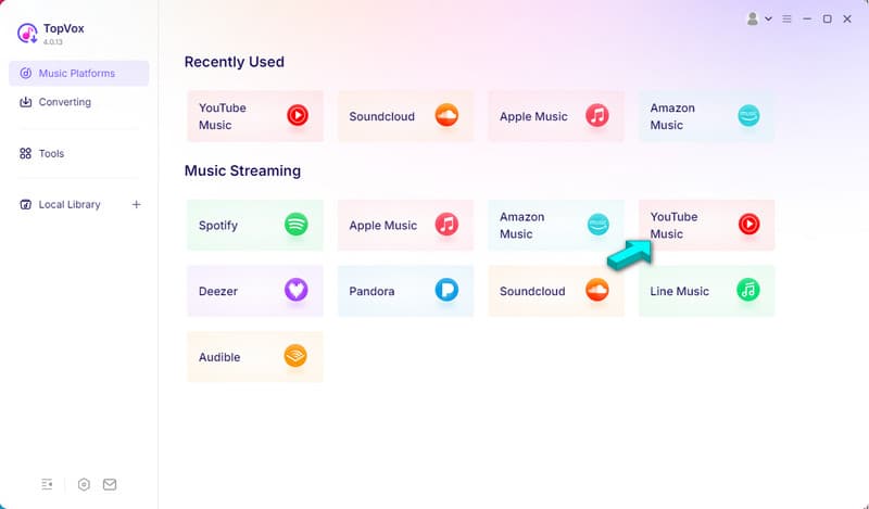 Select Youtube Music In Topvox All Music Converter