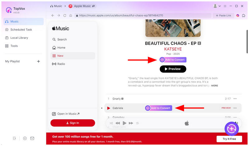 Topvox All Music Converter Add To Convert