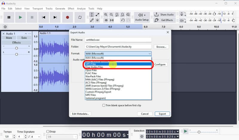 Export Spotify Song In Audacity