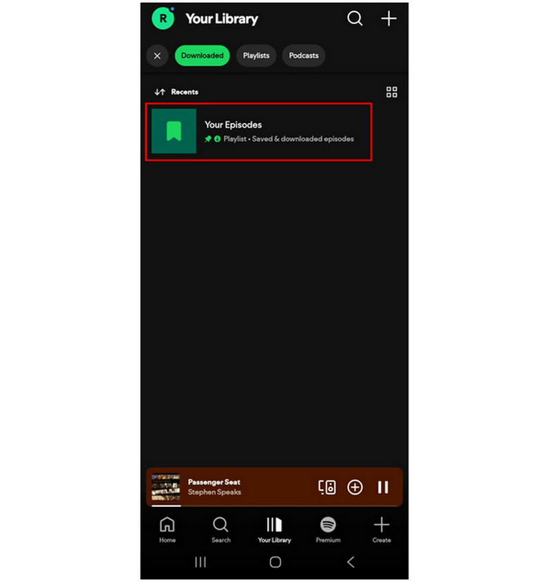 Spotify Downloaded Media