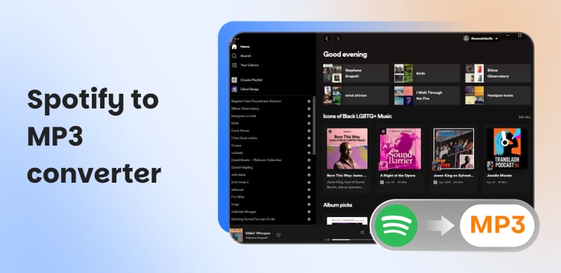 Spotify to Mp3 Converter