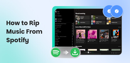Rip Music from Spotify