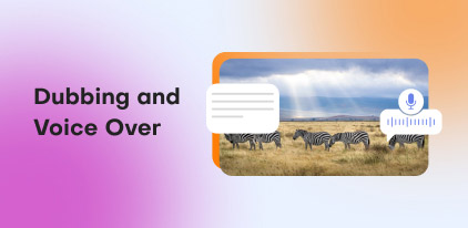 Dubbing and Voice Over