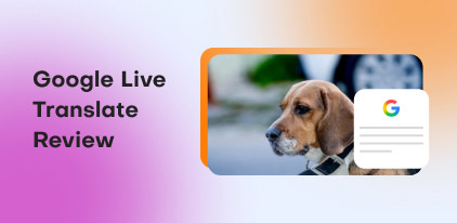 Google Live Translate Review