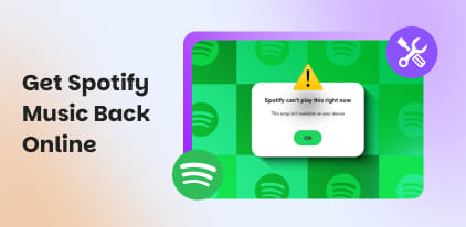 Fix Spotify Says Offline