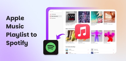 Apple Music Playlist to Spotify